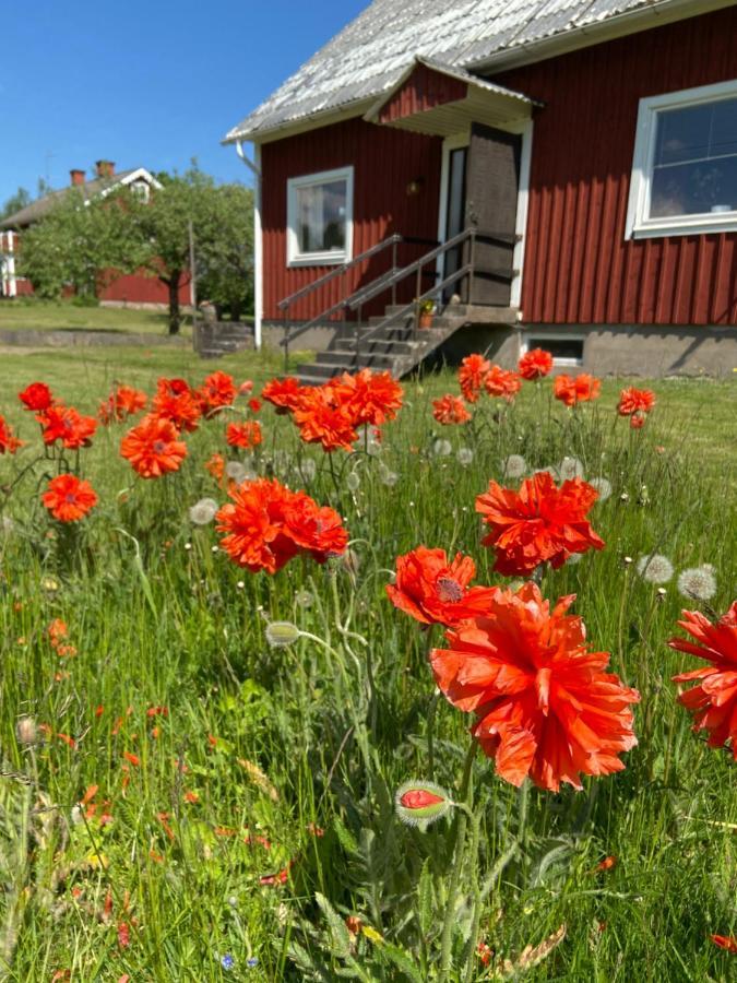 Hus Pa Landet I Soedra Kronoberg Älmeboda Exterior photo